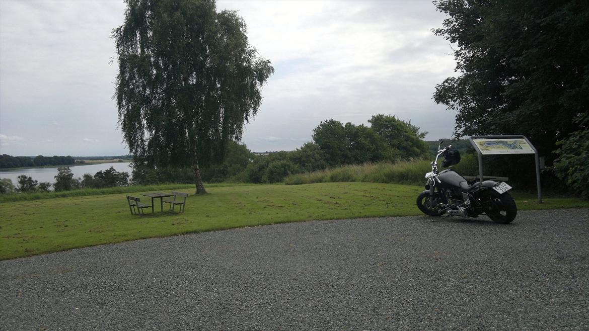 Harley Davidson FX 1200 billede 9