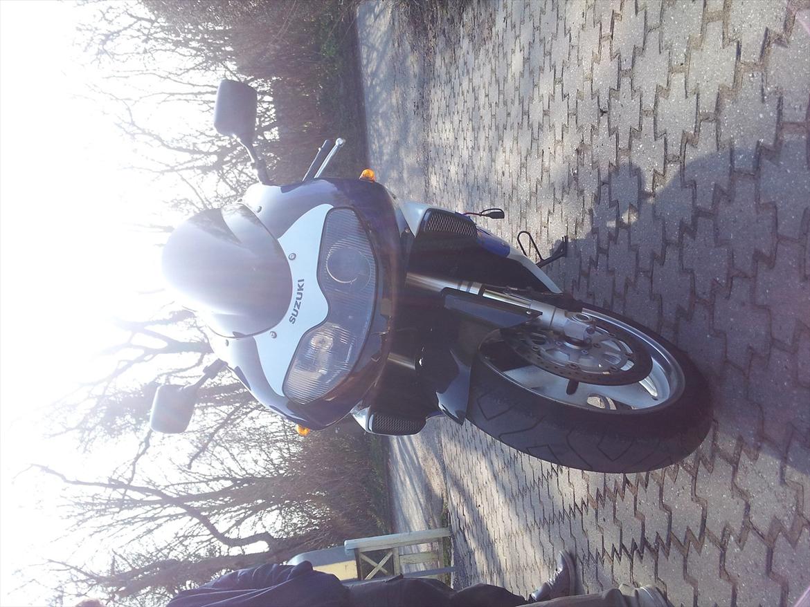 Suzuki Tl 1000 R billede 3