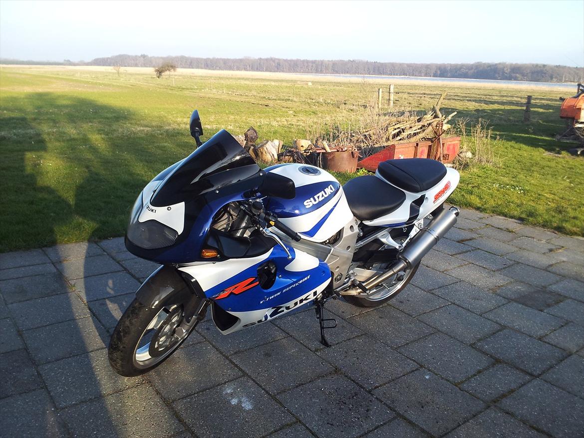 Suzuki Tl 1000 R billede 4