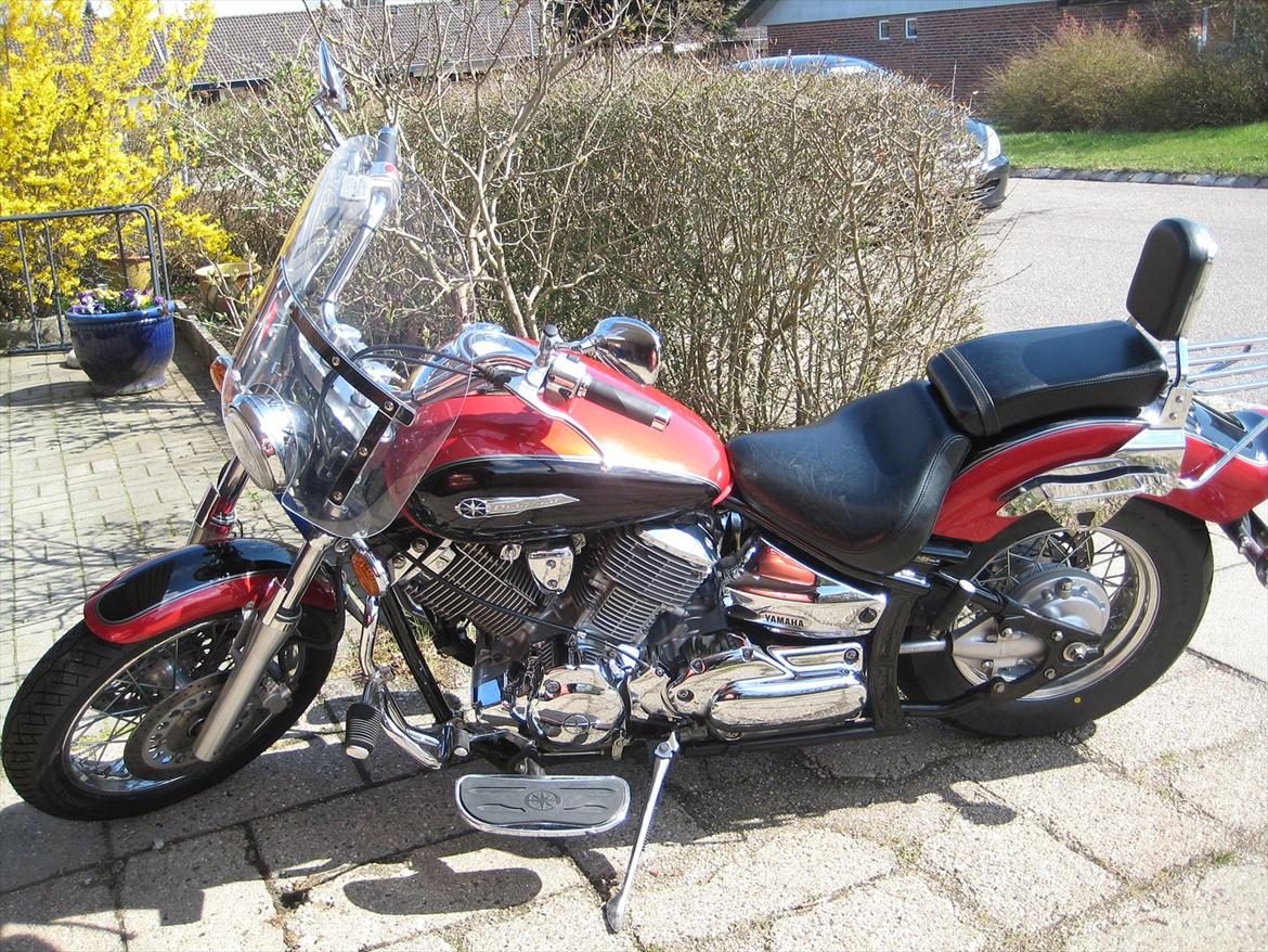 Yamaha xvs 1100 - lige hentet hjem billede 7