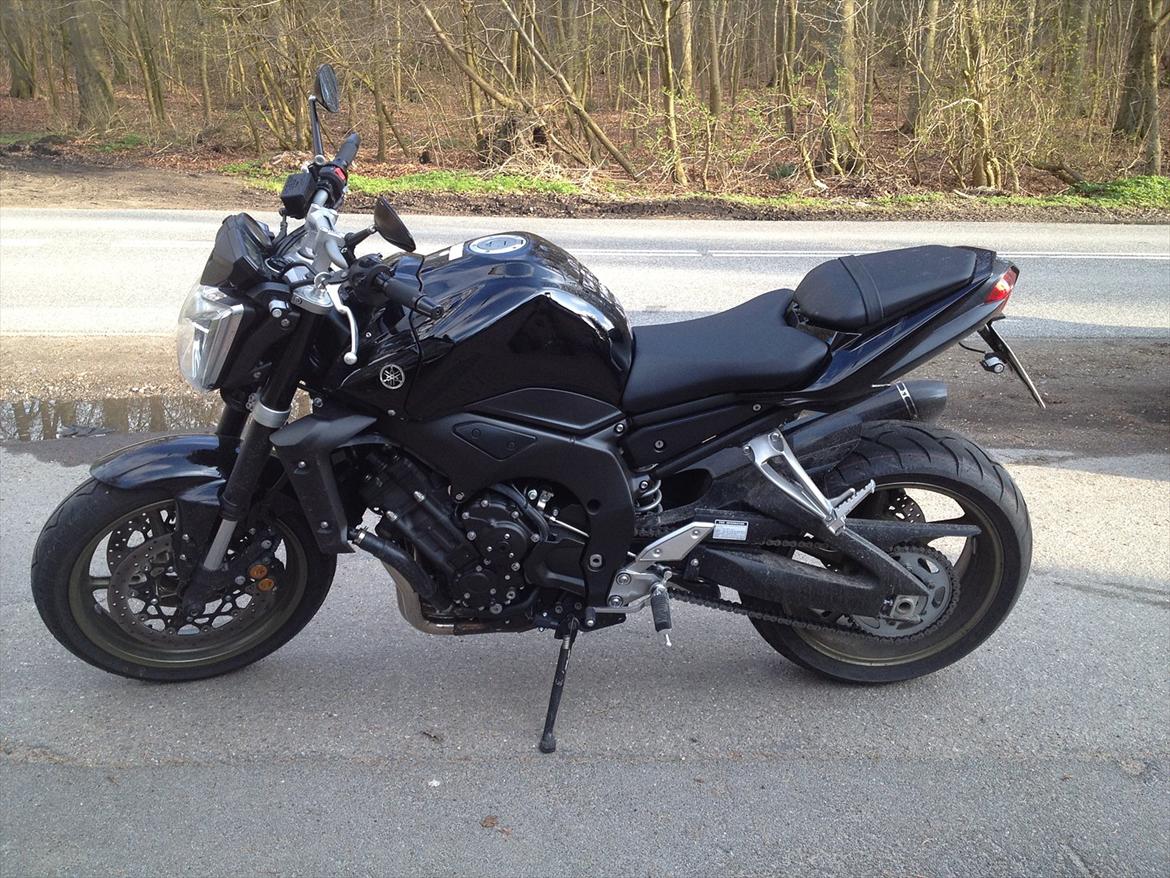 Yamaha FZ-1 N billede 1