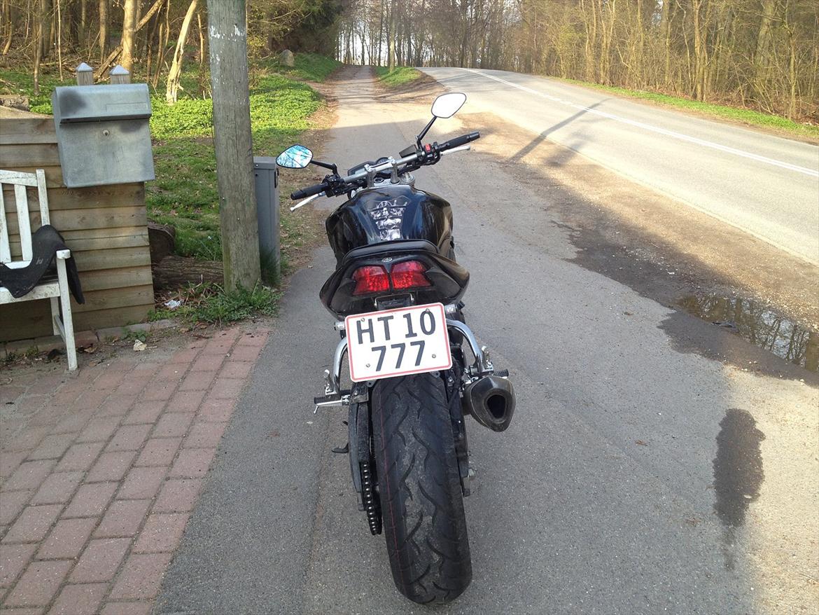 Yamaha FZ-1 N billede 3