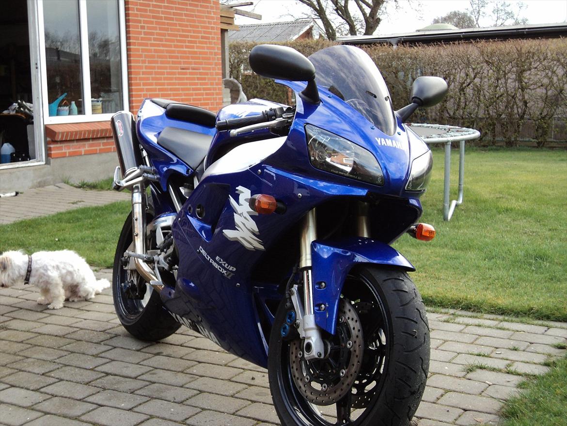 Yamaha R1 (solgt) billede 4