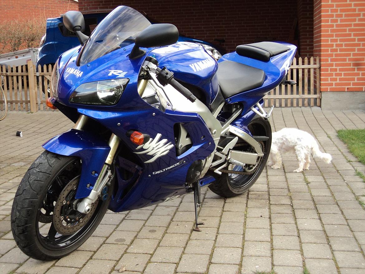 Yamaha R1 (solgt) billede 5