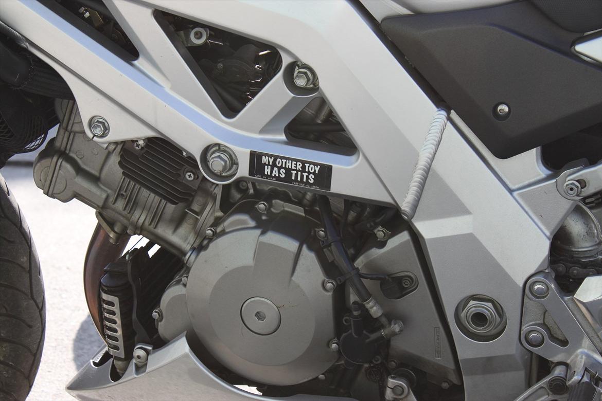 Suzuki Sv1000 billede 3