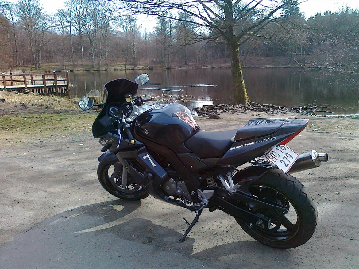 Suzuki SV 650 s billede 6