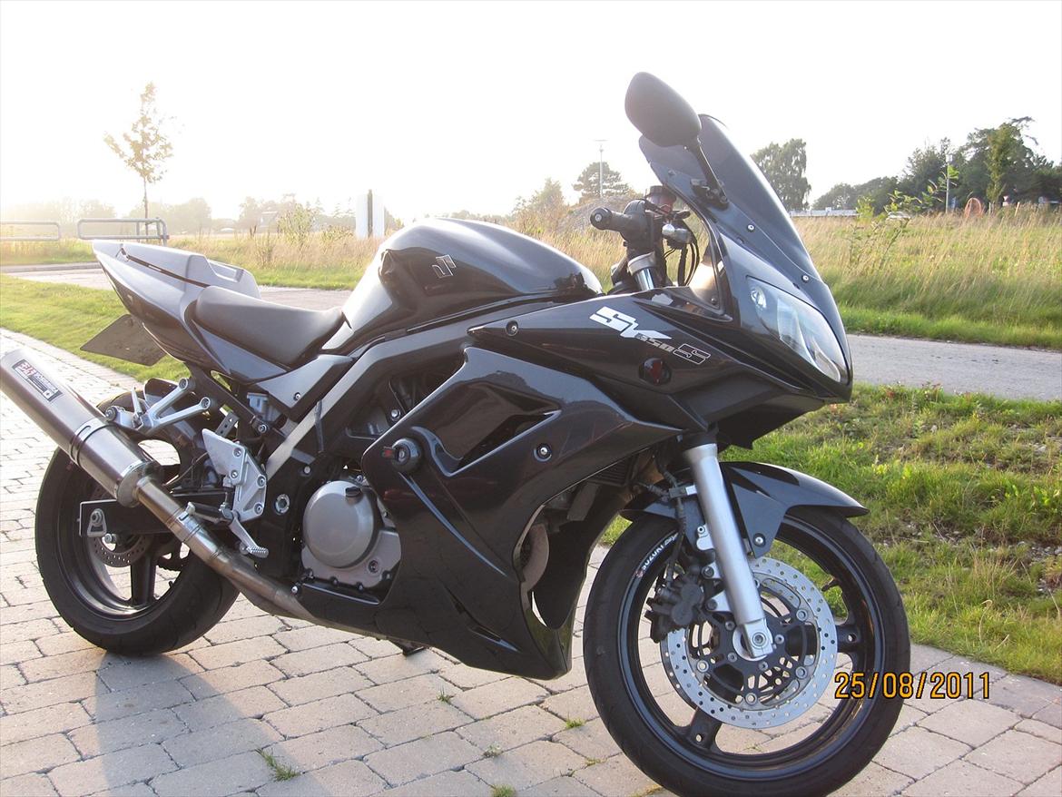 Suzuki SV 650 s billede 8