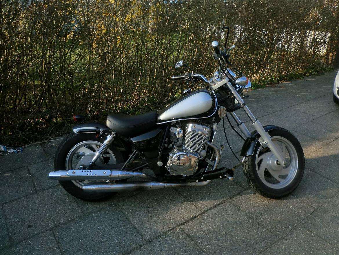 Jinlun 250-5 Bobber (solgt) - Nye kortere dæmpere 280 mm mod tidligere 305 mm billede 2