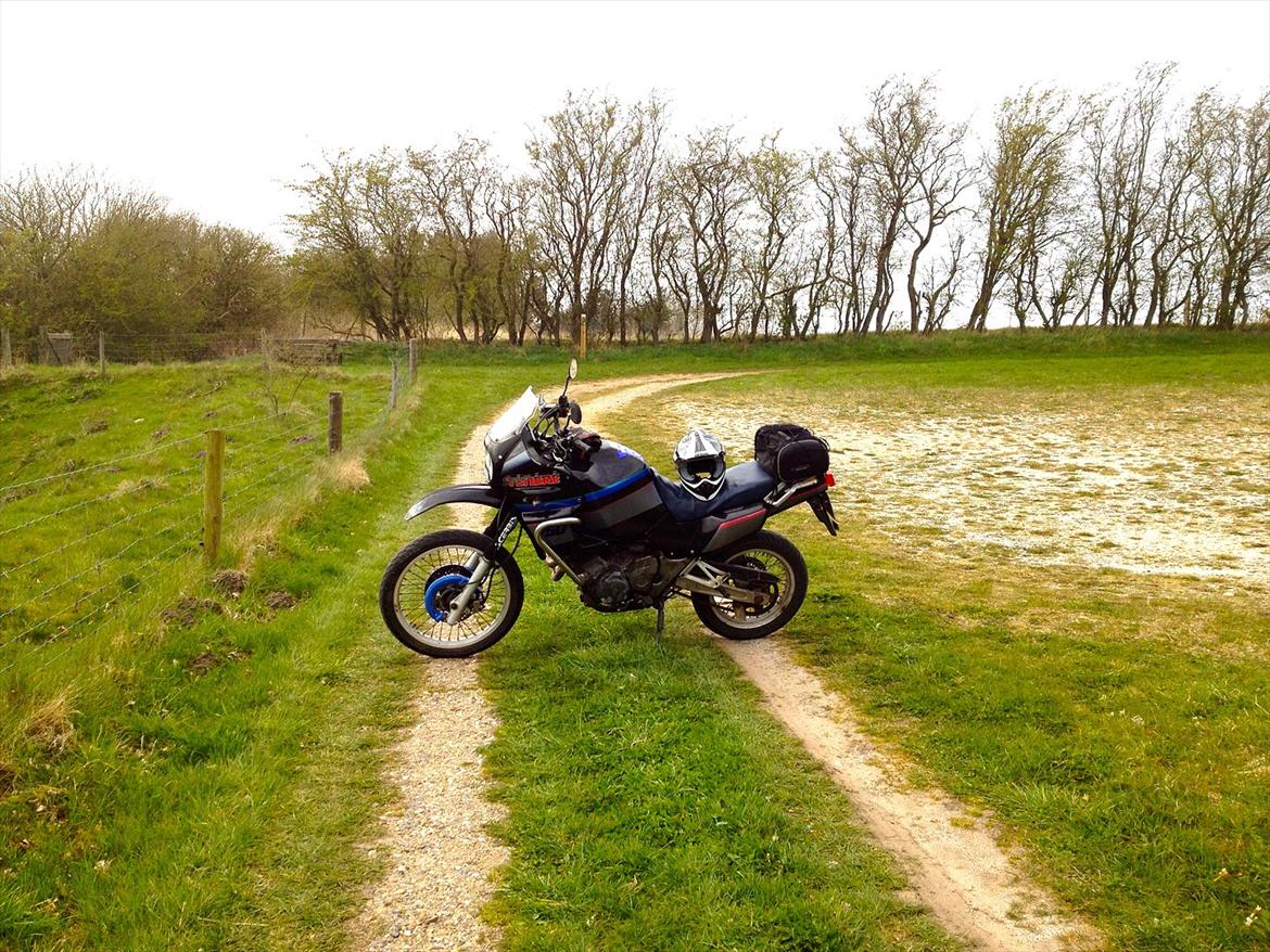 Yamaha XTZ Super Ténéré billede 16