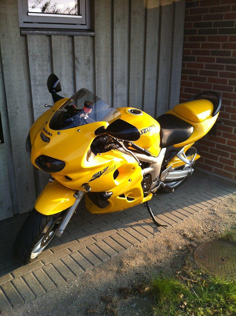 Suzuki SV 650 S - "Påskeæget" billede 3