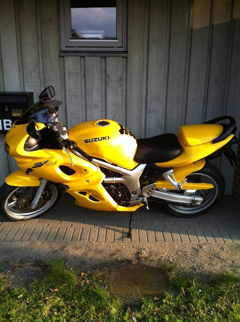 Suzuki SV 650 S - Påskeæget" billede 7