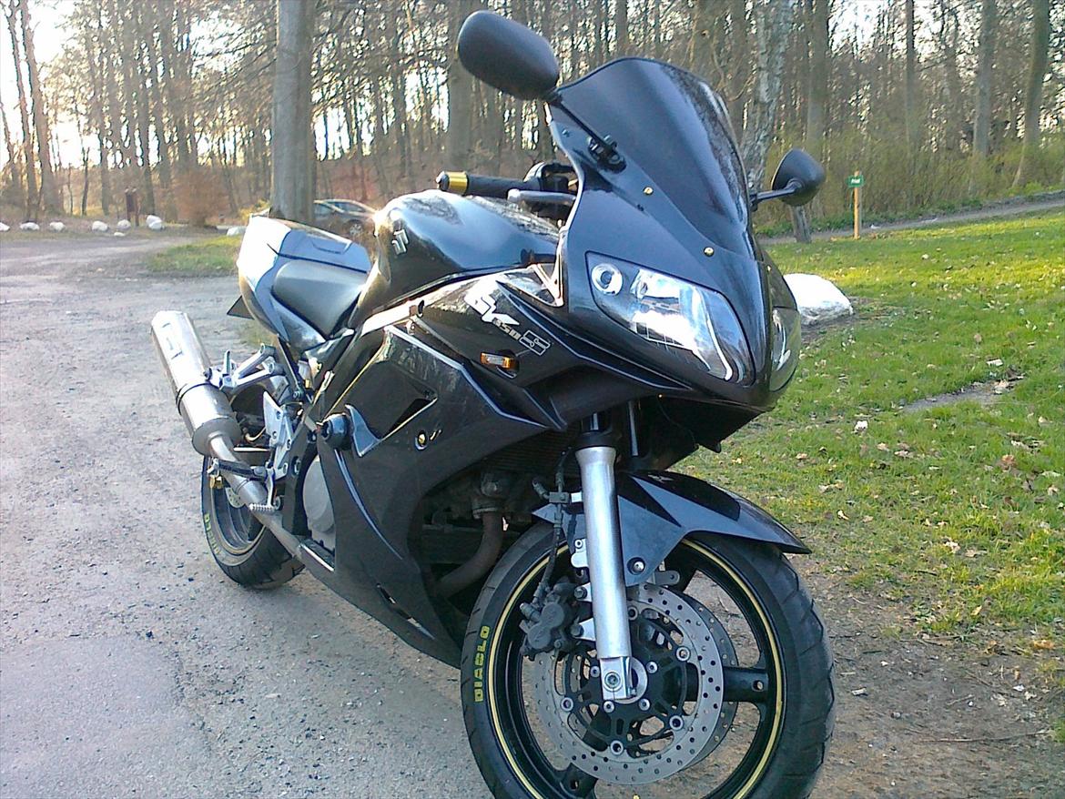 Suzuki SV 650 s - Skov SVin billede 1