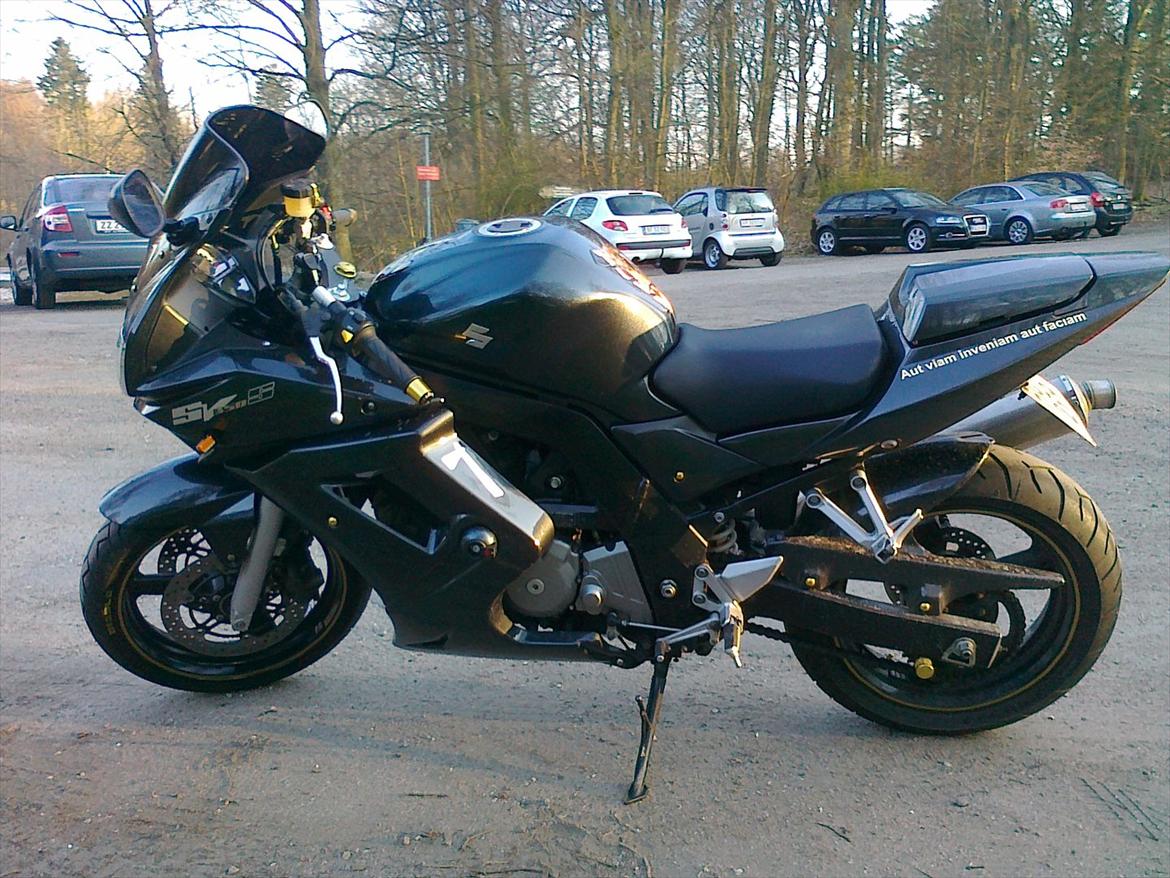 Suzuki SV 650 s billede 4