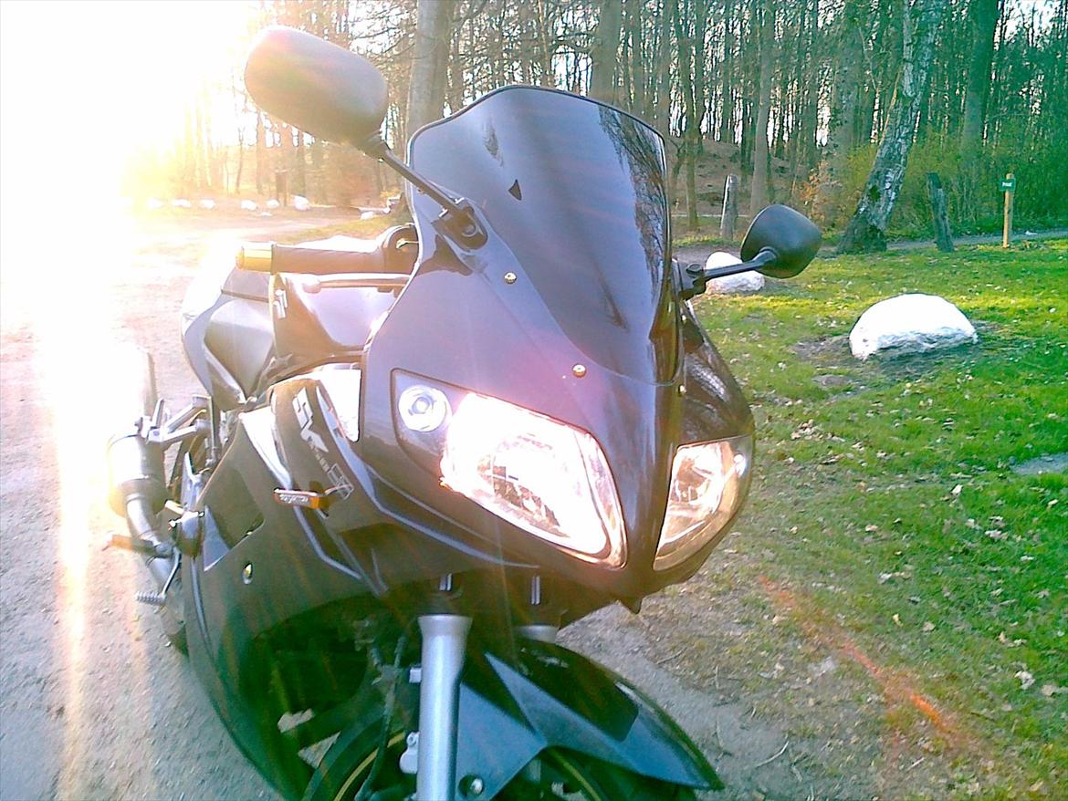Suzuki SV 650 s billede 3