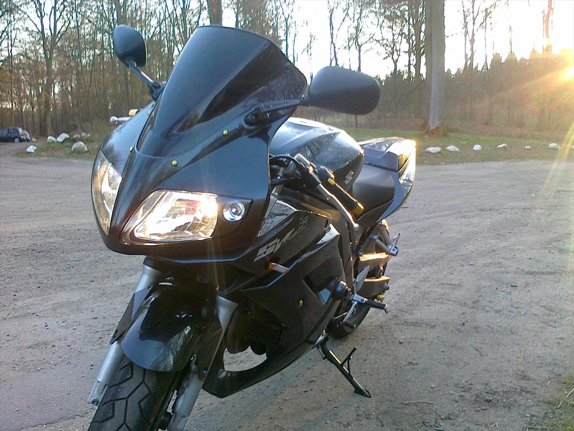 Suzuki SV 650 s billede 2