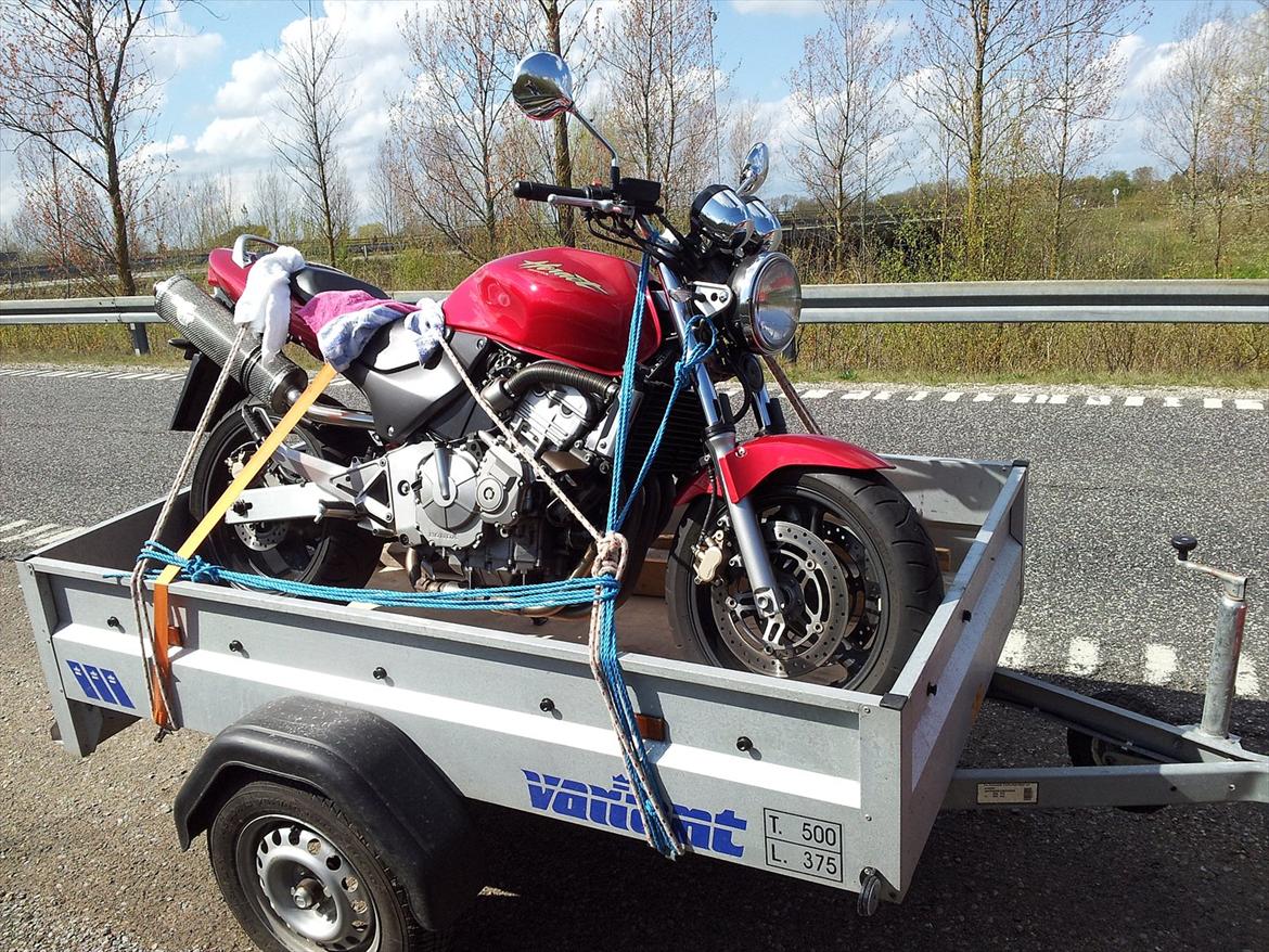 Honda cb 600 Hornet billede 6