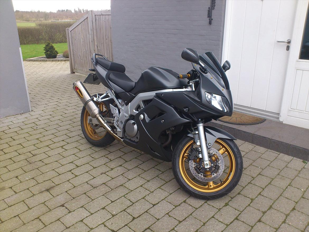 Suzuki sv 650S billede 1