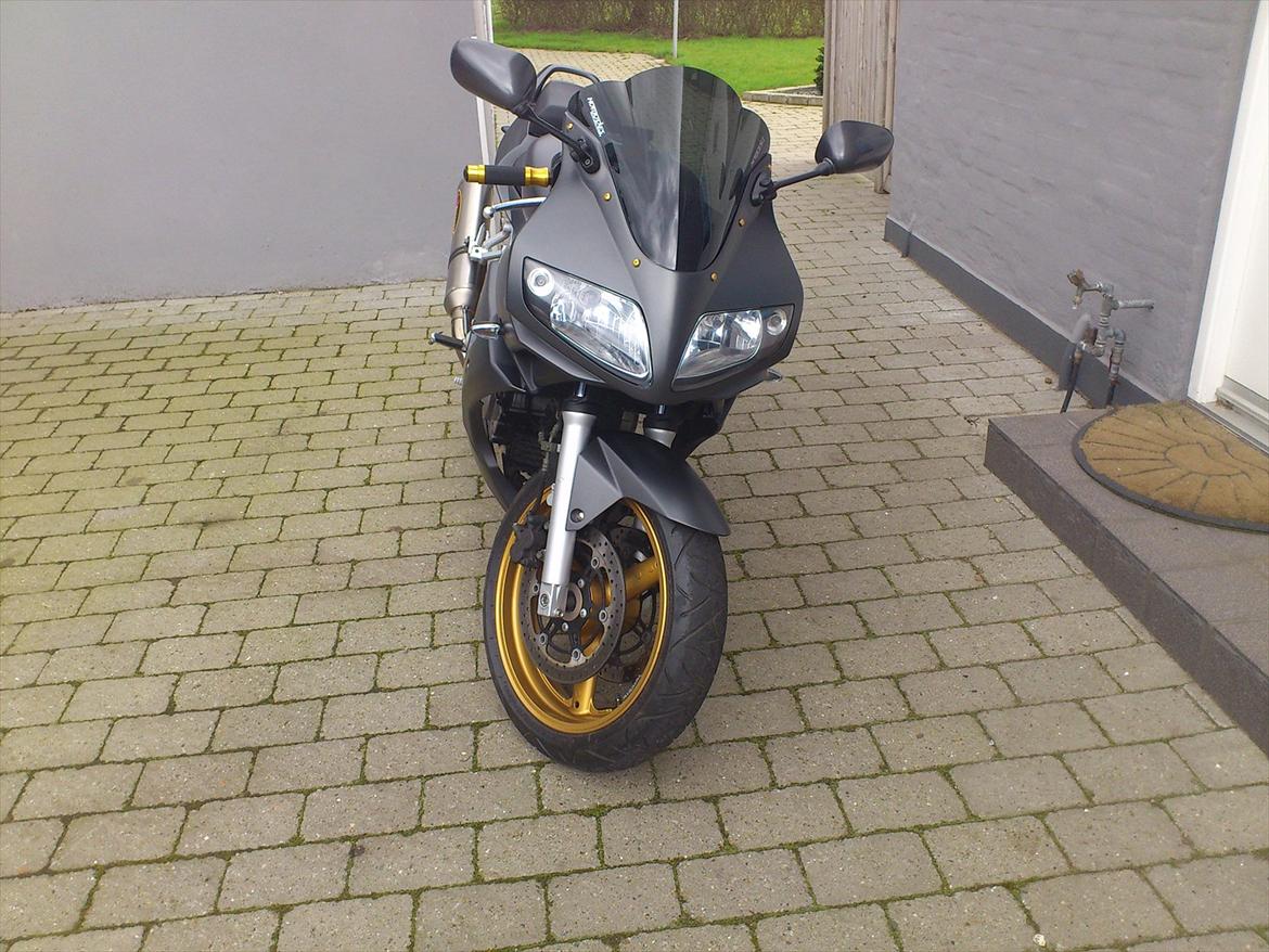 Suzuki sv 650S billede 2