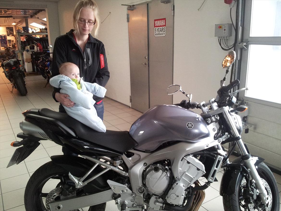 Yamaha FZ6-N billede 4