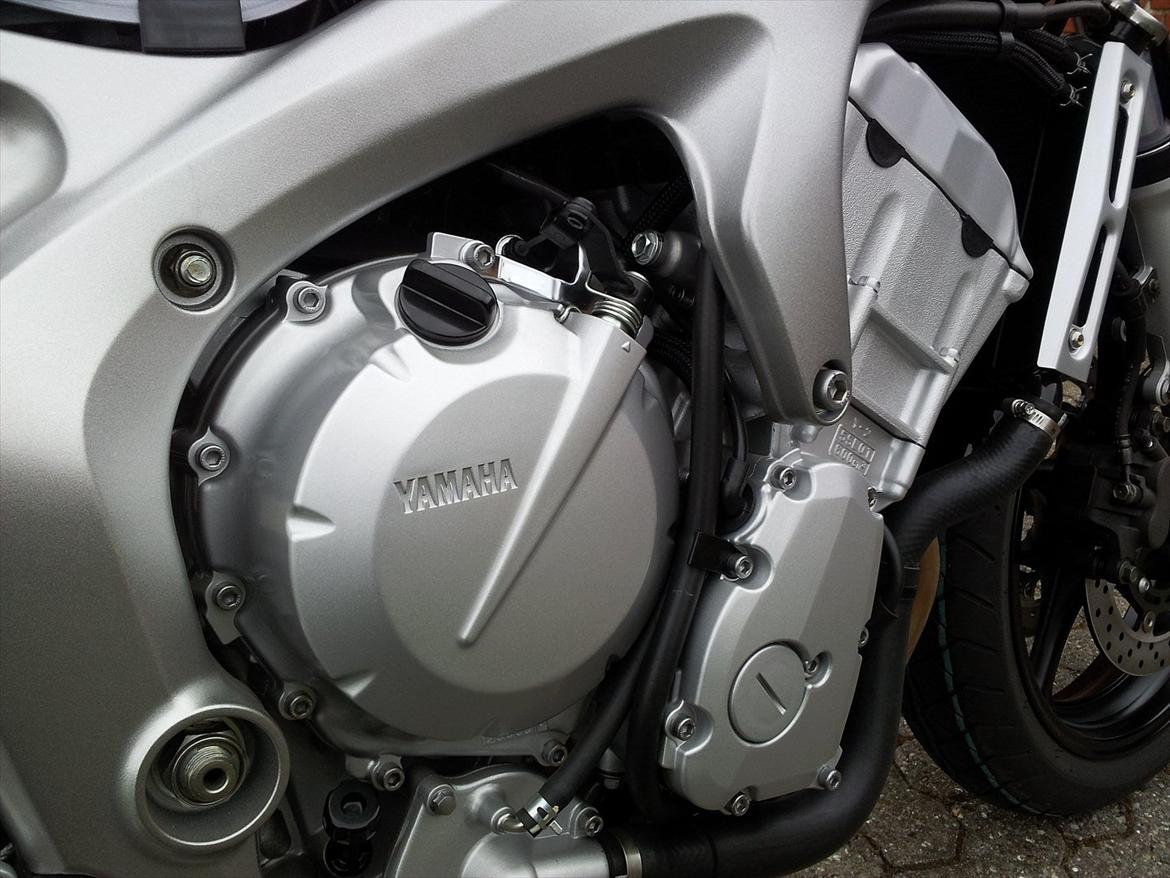 Yamaha FZ6-N billede 6