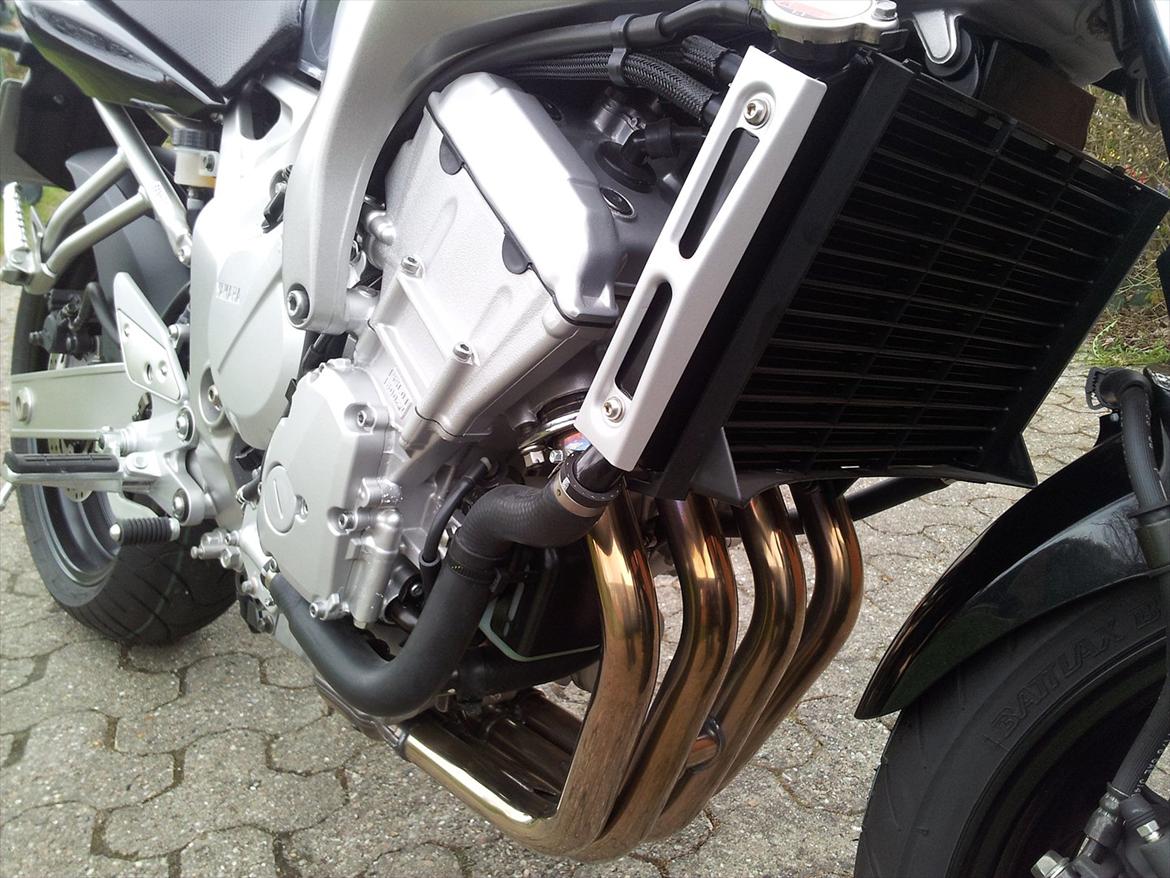 Yamaha FZ6-N billede 7