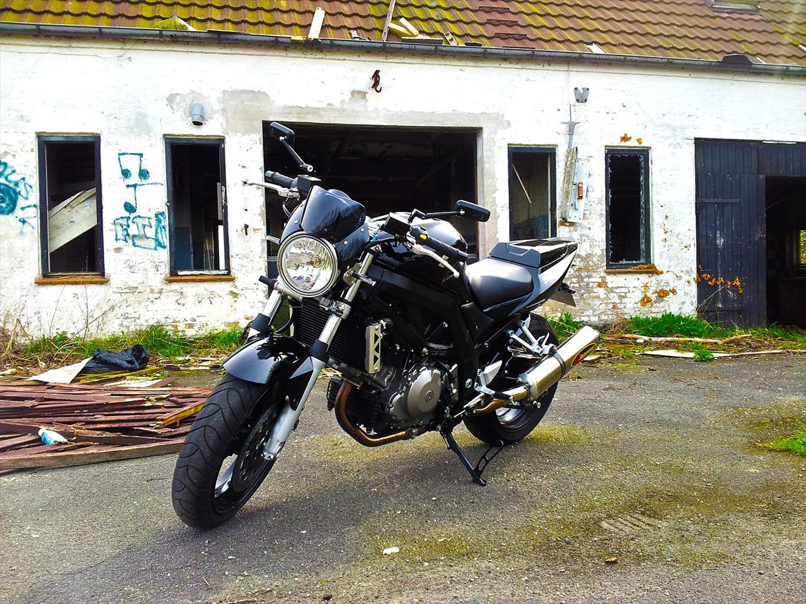 Suzuki SV1000 N K7 billede 2