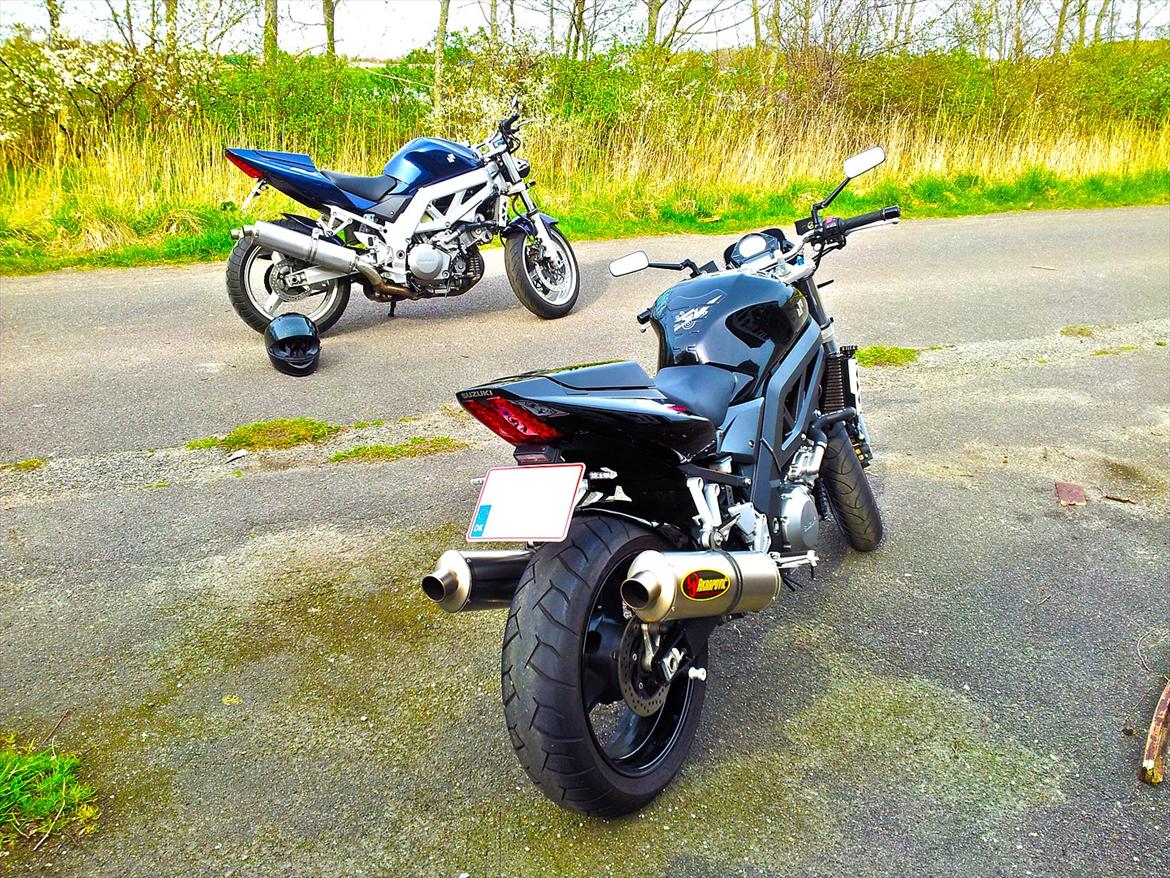 Suzuki SV1000 N K7 - Sammen med en kammerat billede 7