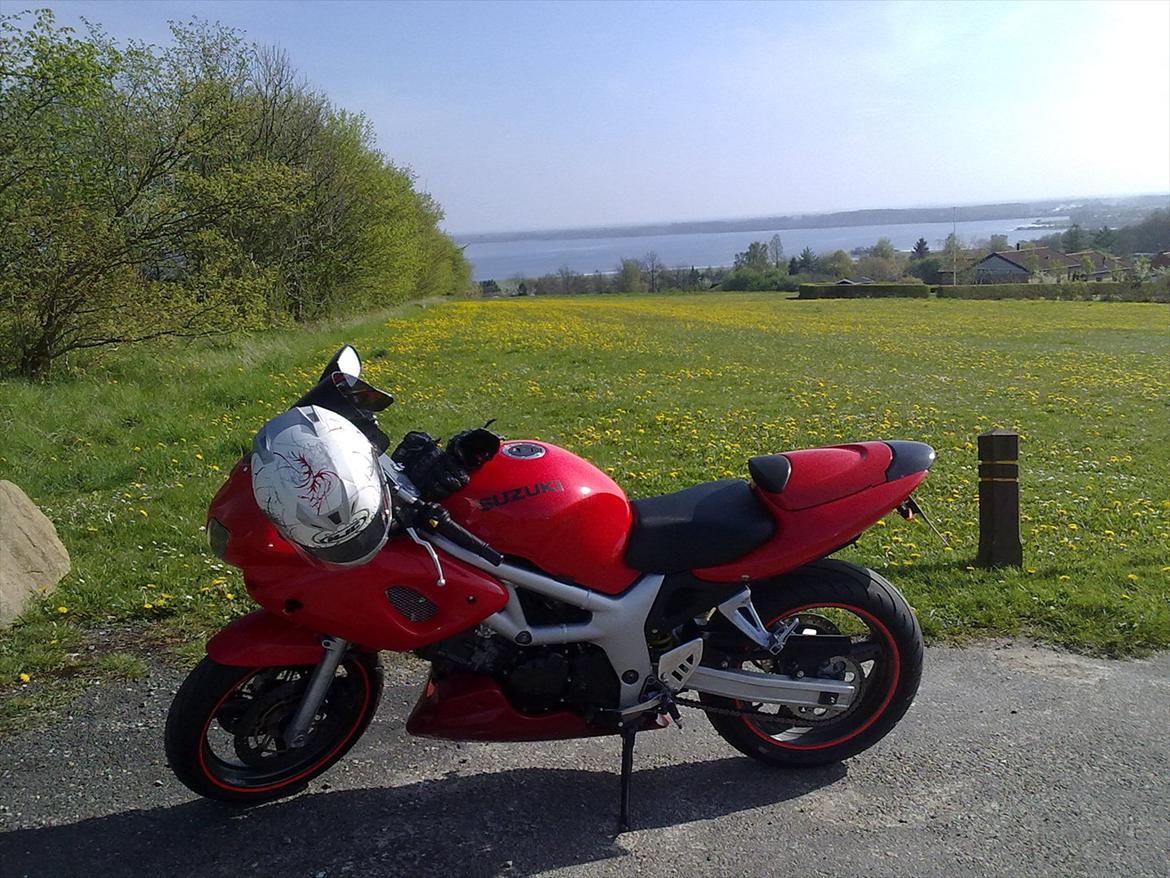 Suzuki SV 650s (Solgt) billede 17