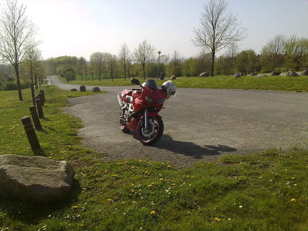 Suzuki SV 650s (Solgt) billede 18