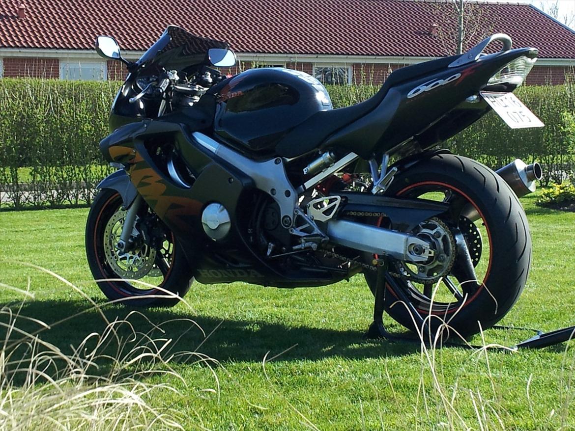 Honda cbr 600 F4 - Så blev hun slæbt med ud i haven til fotoshoot. billede 3