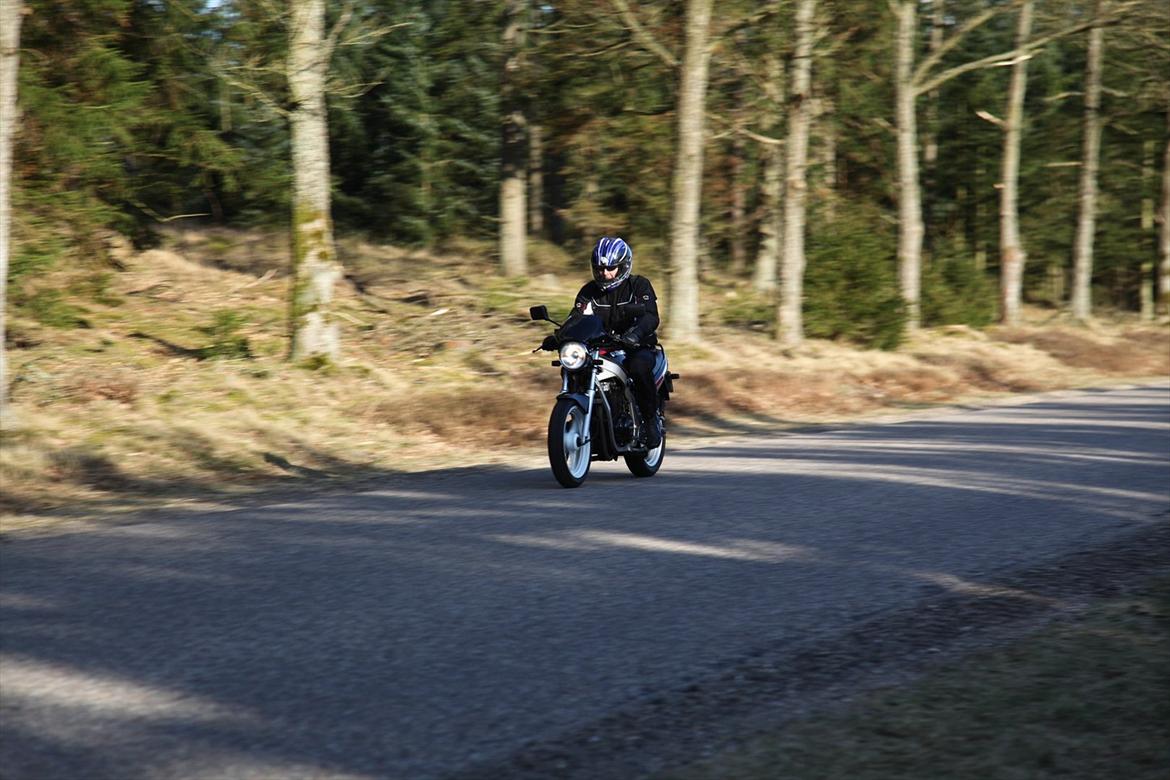 Suzuki GS 500 billede 2