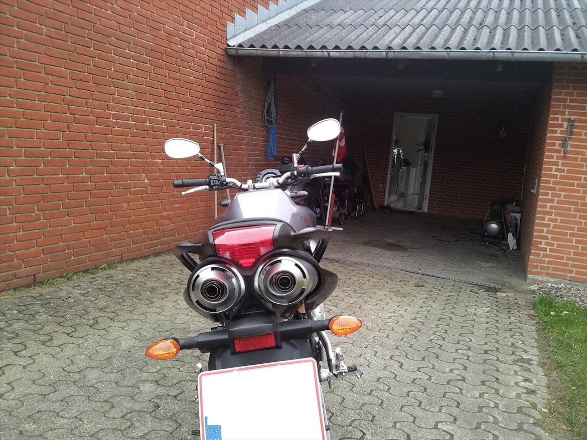 Yamaha FZ6-N billede 1