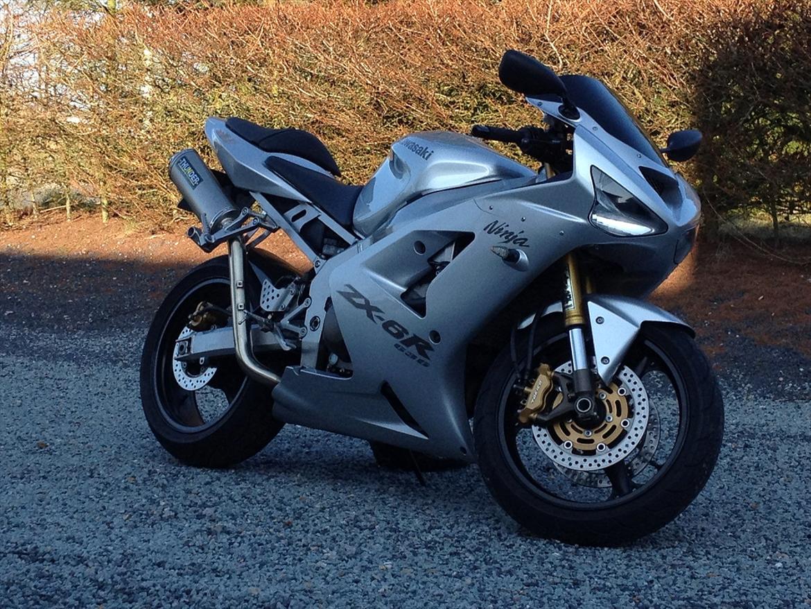 Kawasaki ZX-6R Ninja 636 - solgt billede 1