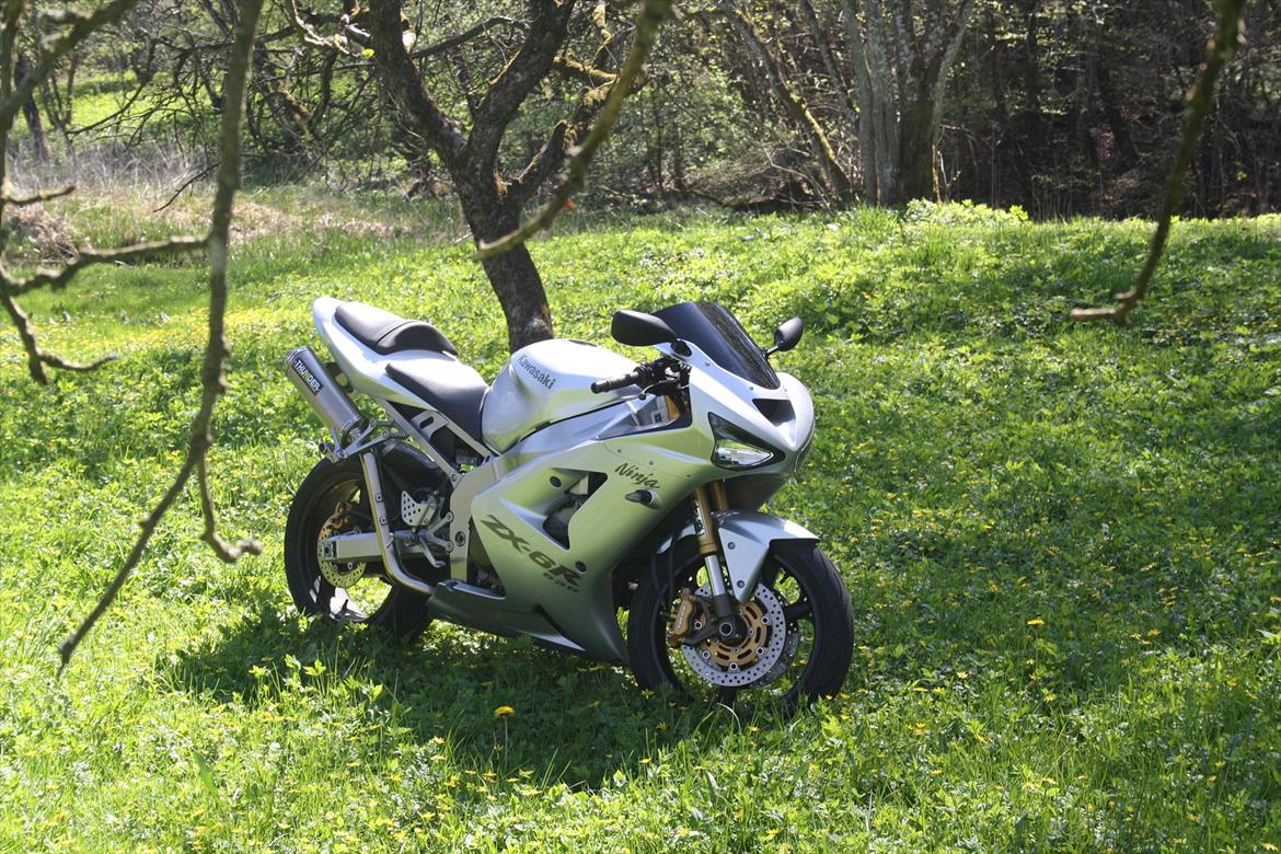 Kawasaki ZX-6R Ninja 636 - solgt billede 13