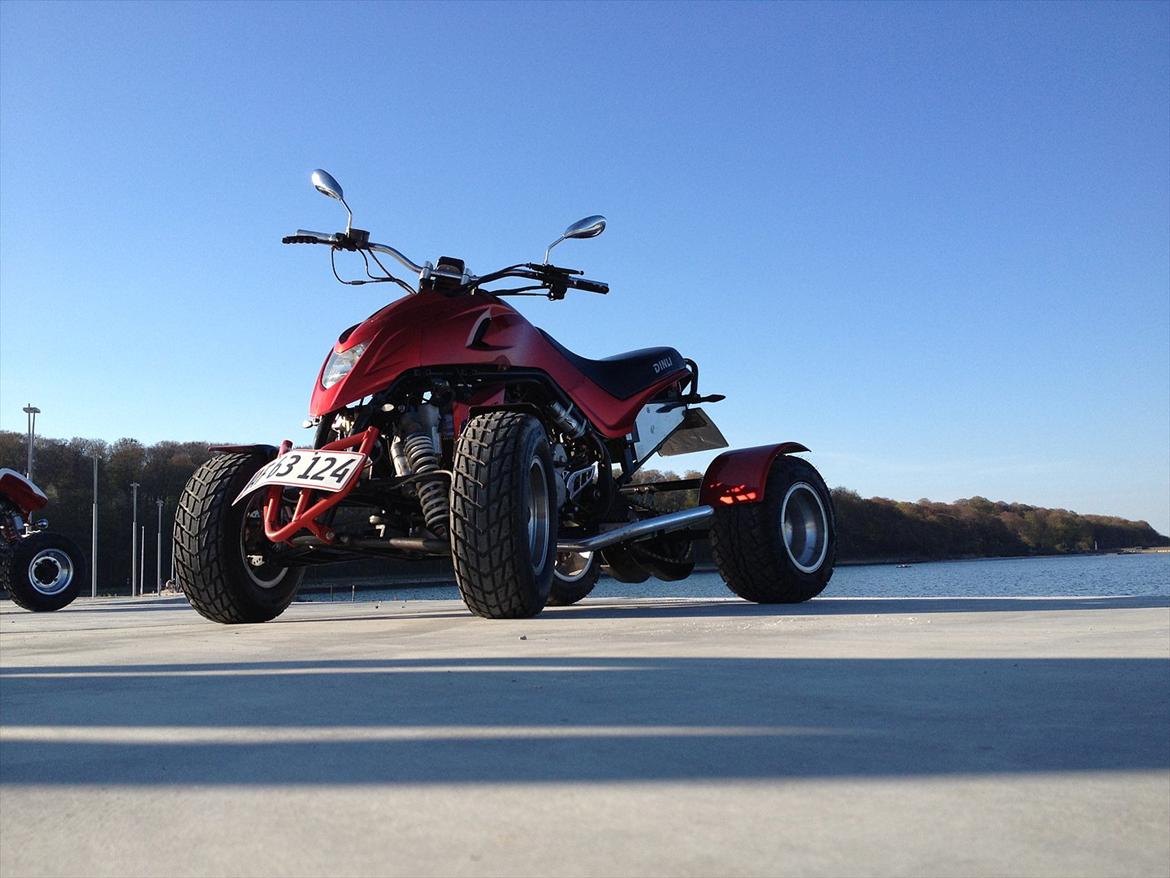 Dinli 901 "streetfighter" ON-ROAD billede 16