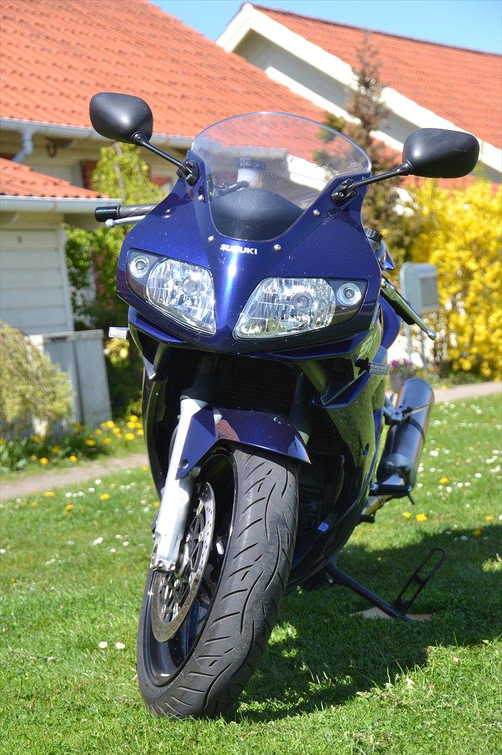 Suzuki SV 1000 S - Solgt billede 5