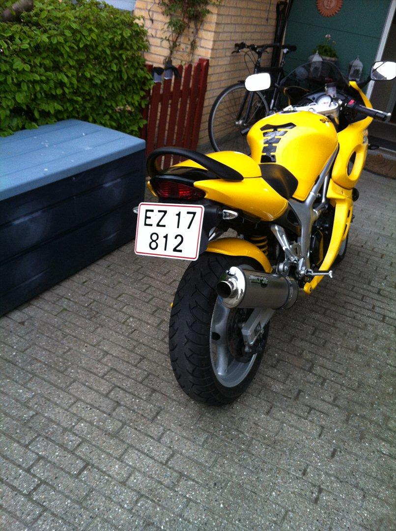 Suzuki SV 650 S - Så fik jeg fjernet den grimme "skolecykel" holder. syntes selv det er lidt pænere efter nr. plade er flyttet.  billede 9
