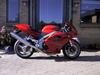 Triumph 955i DAYTONA 