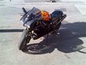 Ducati Monster
