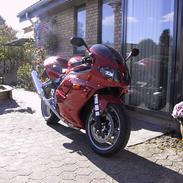 Triumph 955i DAYTONA