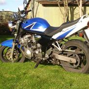 Suzuki 600 ZK4 Bandit (Snedsted)