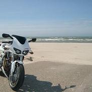 Buell firebolt xb9r