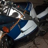 Yamaha FZR 1000 ( solgt )