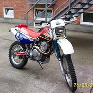 Honda XR 600R