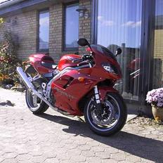 Triumph 955i DAYTONA 