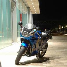 Suzuki GSX 600 F