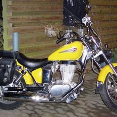 Suzuki LS 650 Savage