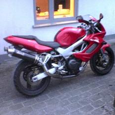 Honda VTR 1000 Fire storm