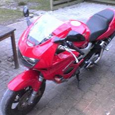 Honda VTR 1000 Fire storm
