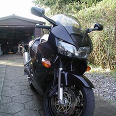 Honda VFR 800